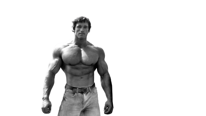 [Best 30+]» Arnold Schwarzenegger PNG» HD Background