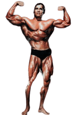 Arnold-Schwarzenegger-PNG-11