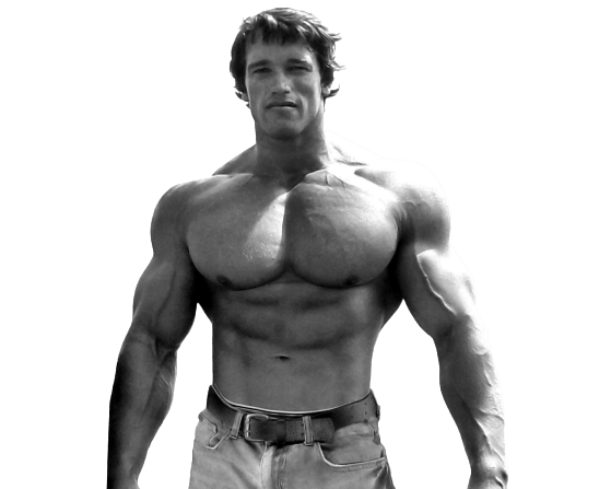 [Best 30+]» Arnold Schwarzenegger PNG» HD Background