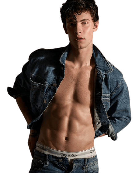 shawn-mendes-11-3