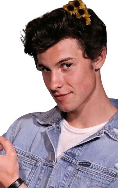 shawn-mendes-11