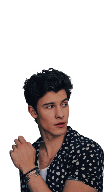 shawn-mendes-2-2