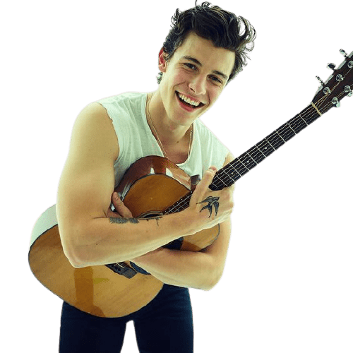 shawn-mendes-2