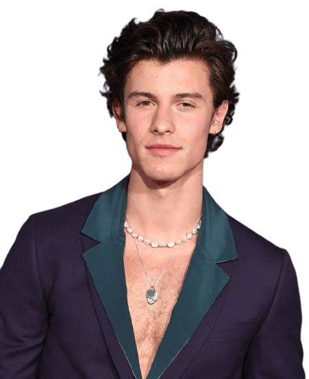 shawn-mendes-6-1