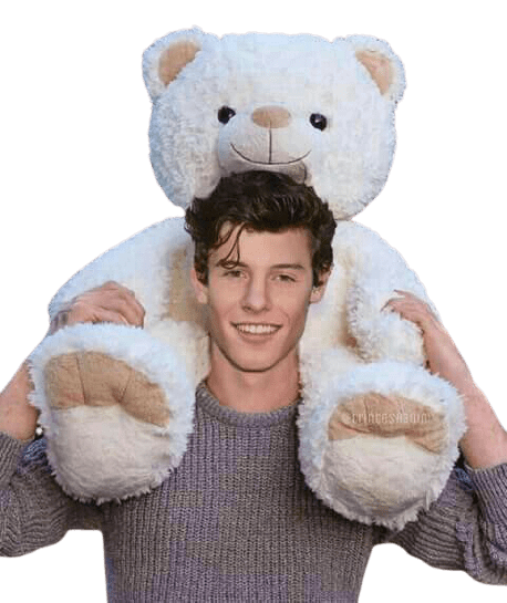 shawn-mendes-6