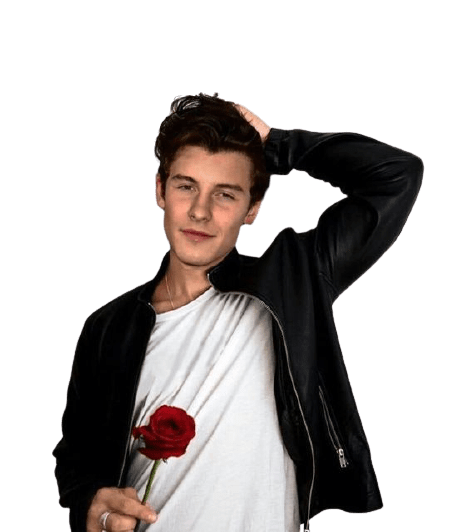 shawn-mendes-7-2