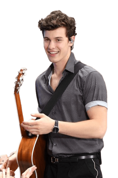 Shawn Mendes Png Png Image Collection