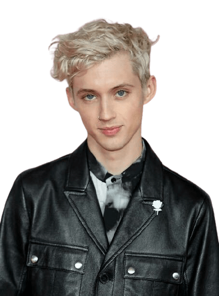 [Best 100+]» Troye Sivan PNG» HD Transparent Background