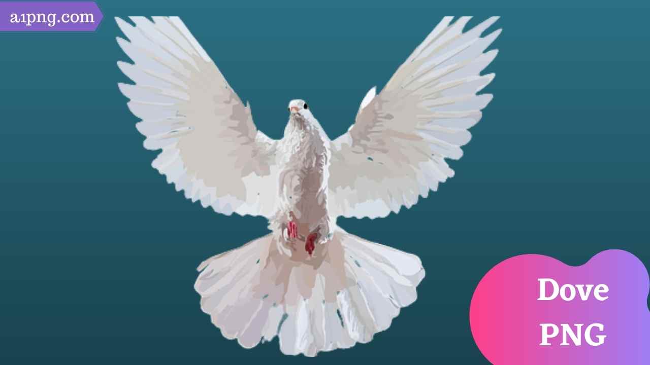 dove-png