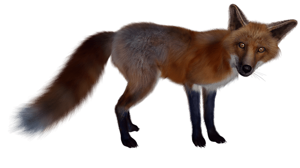 fox-21