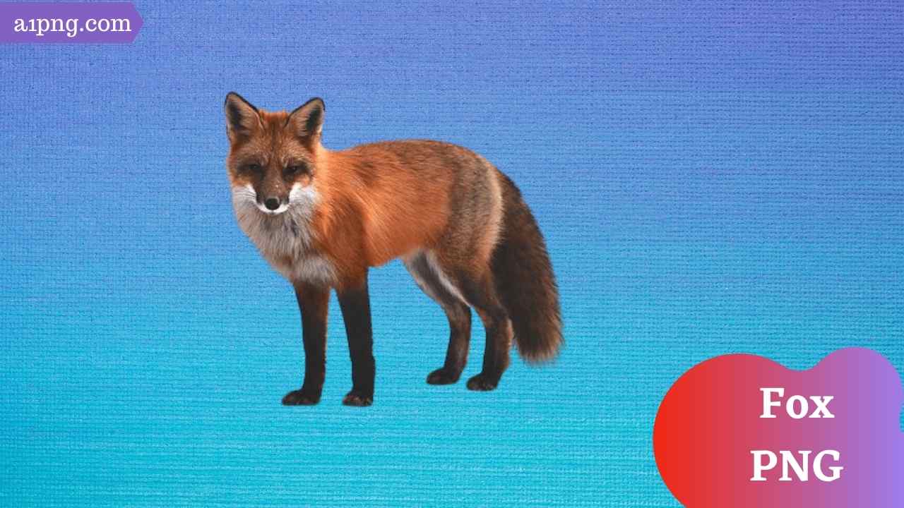 fox-png