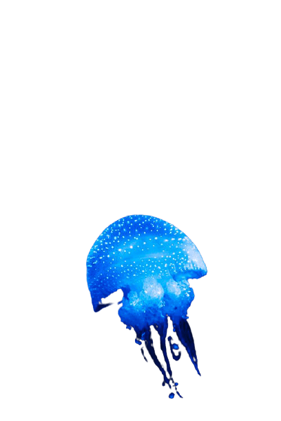 jellyfish-22