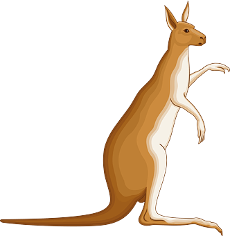 kangaro-1