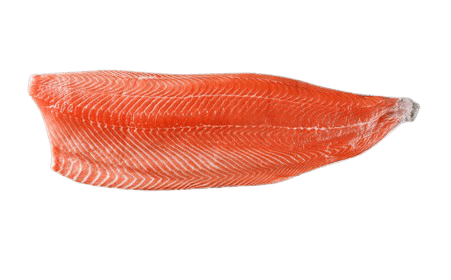 salmon-10