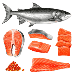 salmon-28