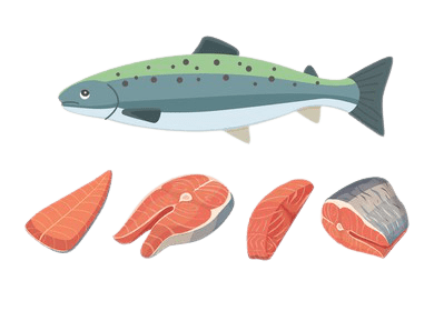 salmon-35