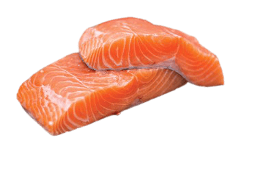 salmon-6