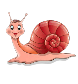 snail-6