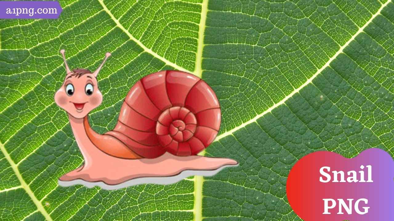 snail-png