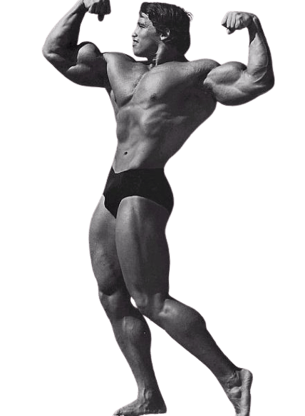 Arnold-Schwarzenegger-3