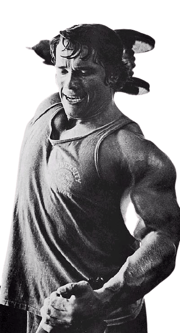 Arnold-Schwarzenegger-4