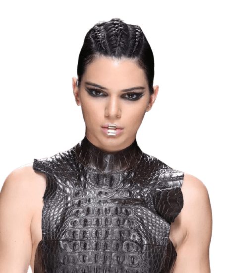 Best 370 Kendall Jenner Png Clipart Logo And Hd Background 9746