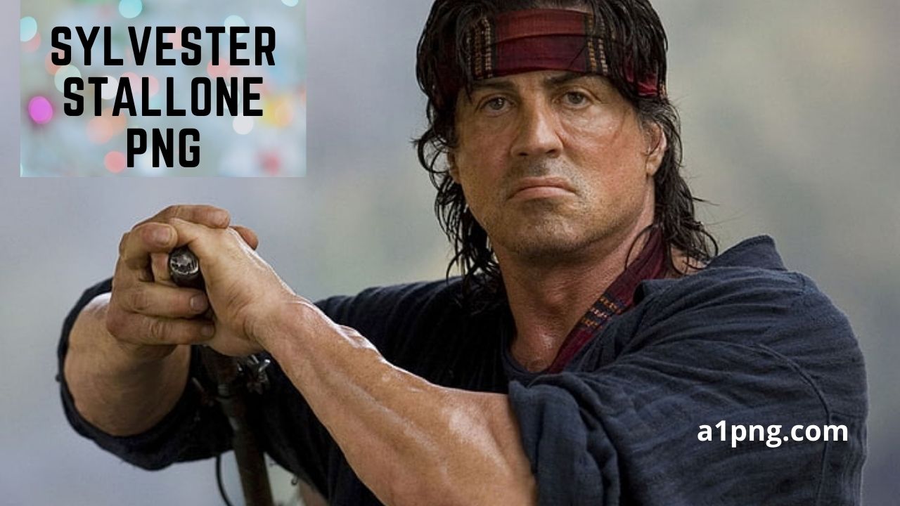 [Best 30+]» Sylvester Stallone PNG» ClipArt, Logo & HD Background