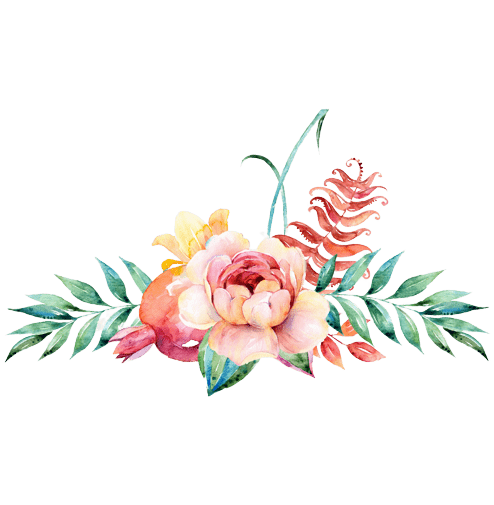 [Best 50+]» Floral Design PNG, Logo, ClipArt [HD Background]