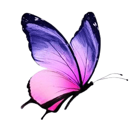 butterfly-png-1-1
