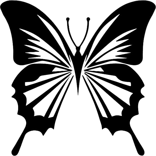 butterfly-png-1-2