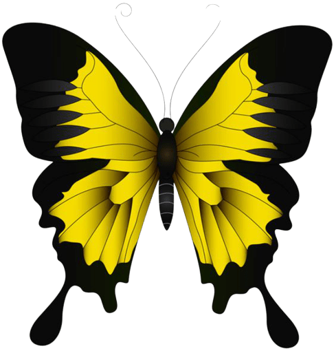 butterfly-png-1-4
