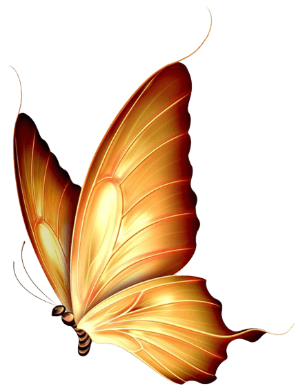 butterfly-png-1