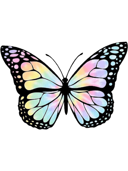 butterfly-png-10