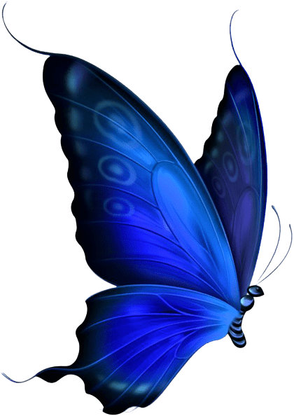 butterfly-png-11