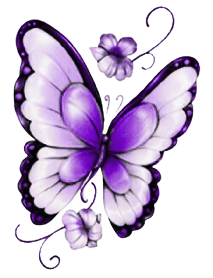 butterfly-png-12