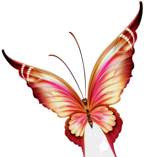 butterfly-png-2-1