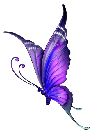butterfly-png-2-4