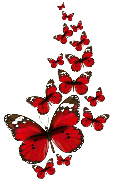 butterfly-png-2