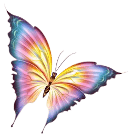 butterfly-png-3-2