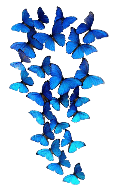 butterfly-png-3-5