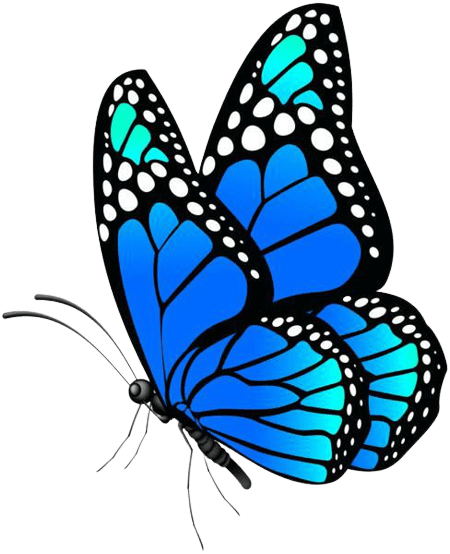 butterfly-png-4-4