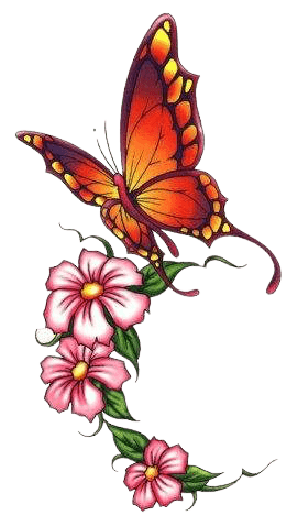butterfly-png-5-4