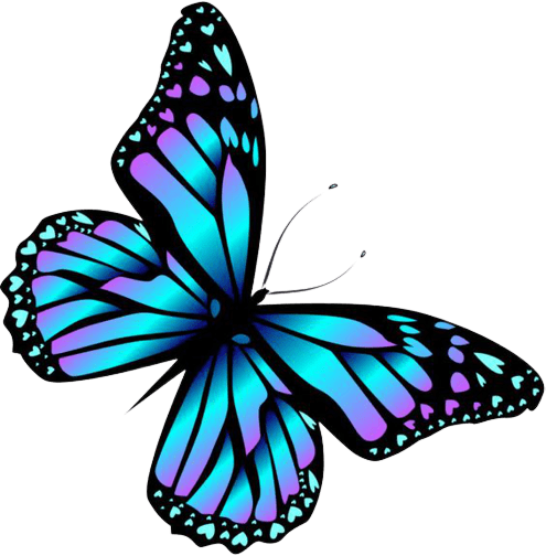 butterfly-png-5