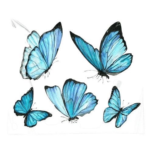 butterfly-png-6-1