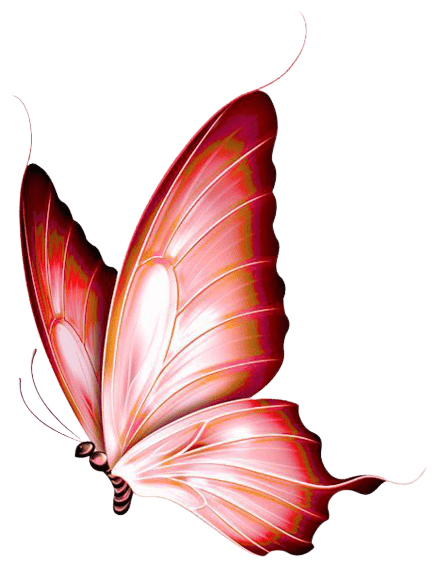 butterfly-png-6-3