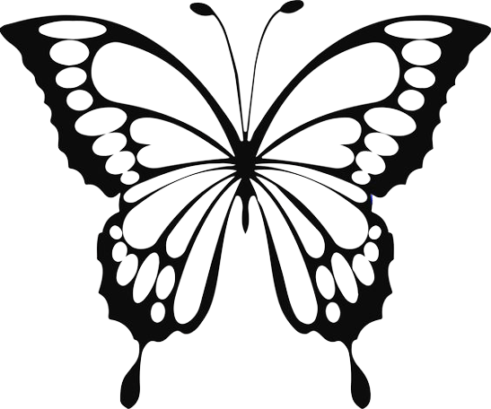 butterfly-png-7-1