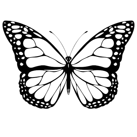 butterfly-png-7-2