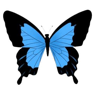 butterfly-png-7-3