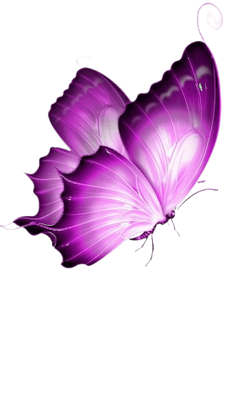 butterfly-png-7-4
