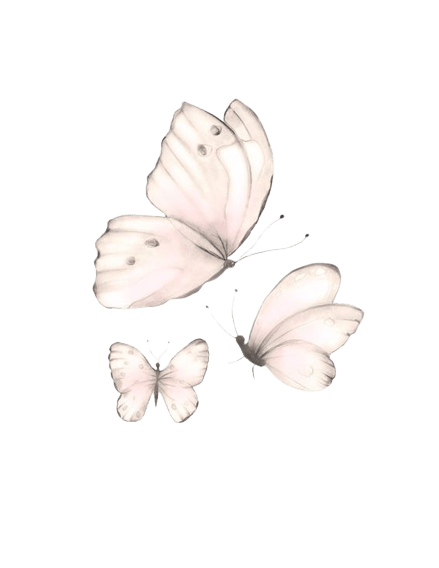 butterfly-png-8-3